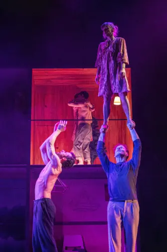 Narodni sbirka zlozvyku 33